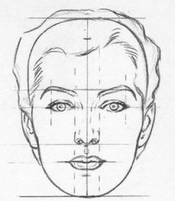 Proportions Of The Face