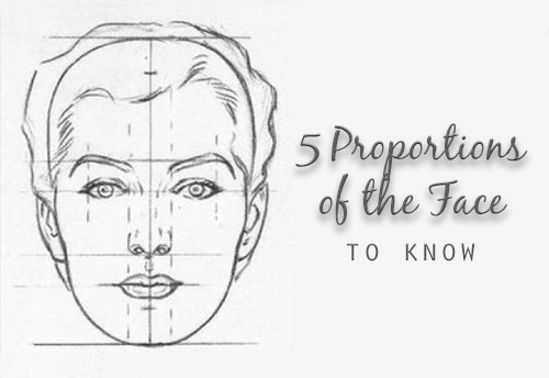 5 Proportions of the face to know