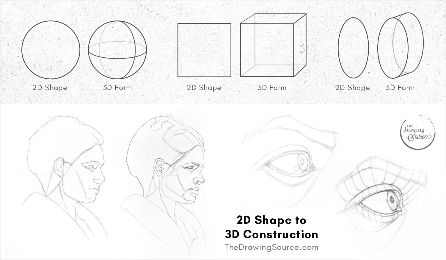 Turning 2d shapes into 3d forms