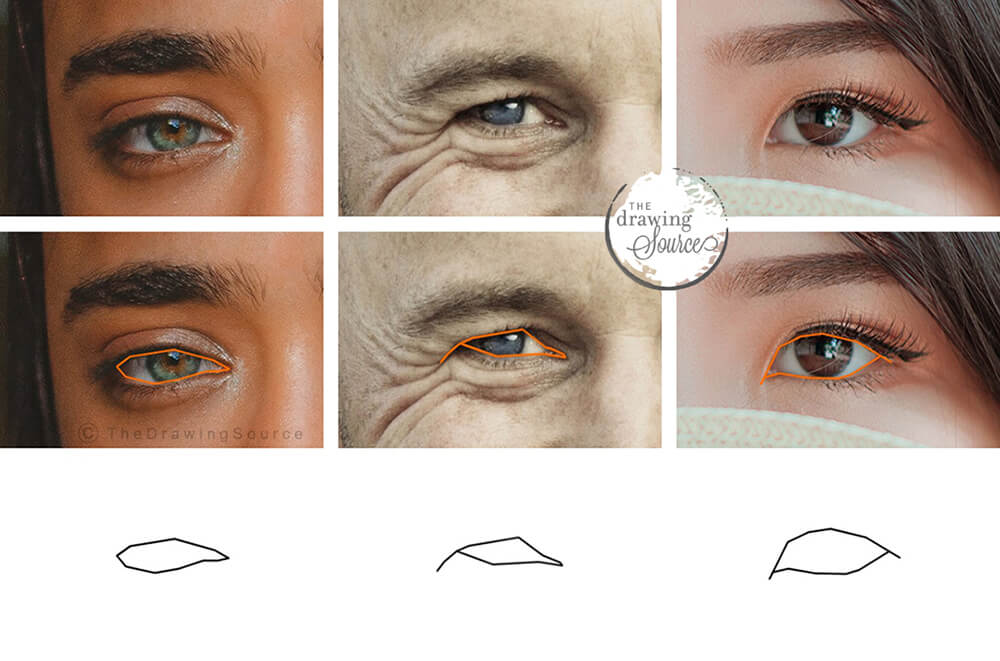 Distinct eye shapes of different people and examples of how to draw them