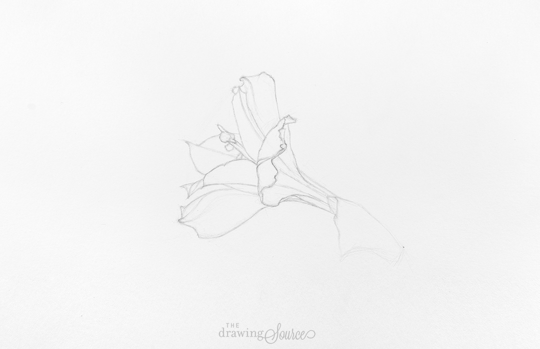 Flower Drawing with White Charcoal Pencil for Beginners