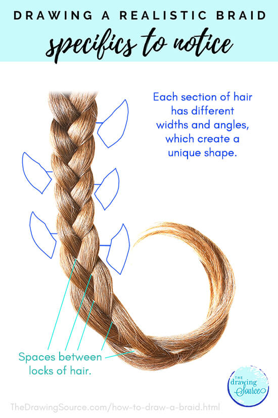 how to draw hair braids step by step