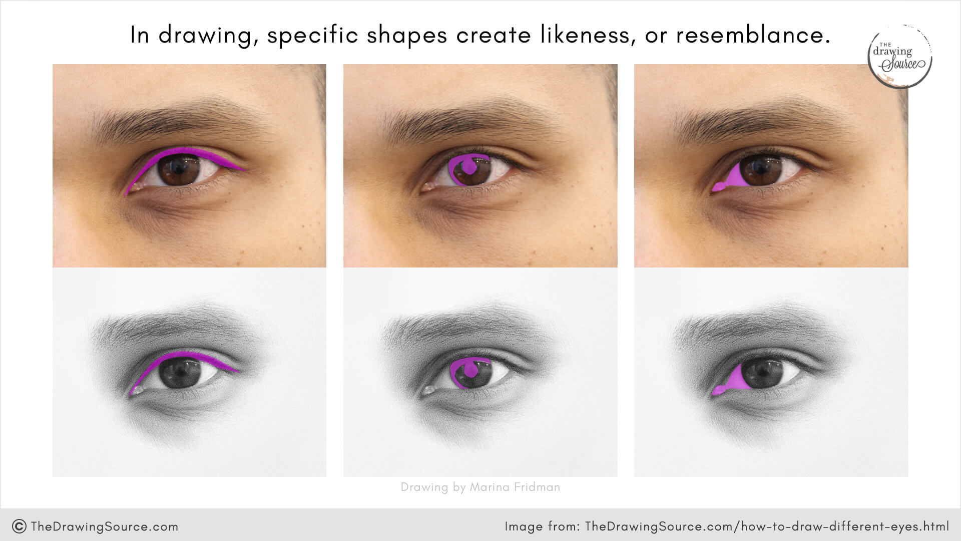 Drawing likeness with specific shapes