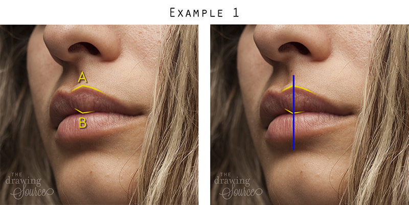 What Is Vertical Lips Meaning Lipstutorial