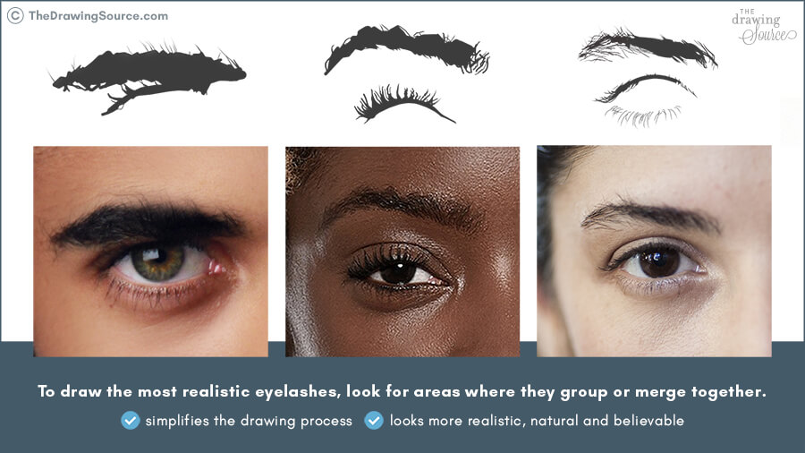 Drawing realistic eyelashes by grouping them Drawing realistic eyelashes by grouping them
