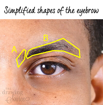 23105 Eyebrow Sketch Images Stock Photos  Vectors  Shutterstock