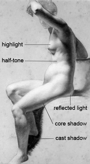Elements of light and shadow on the figure