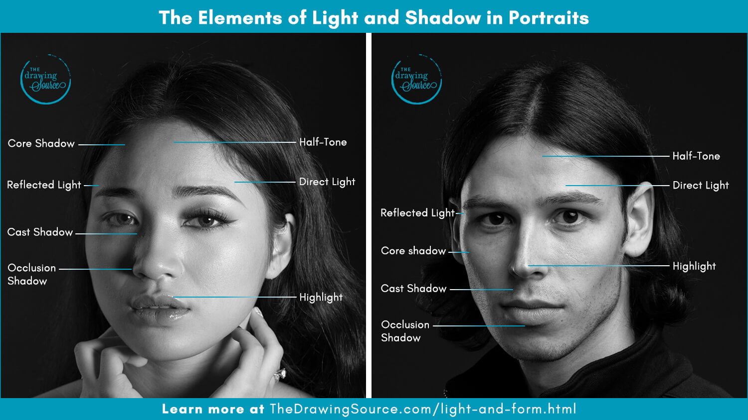 The elements of light and shadow that we need to know for realistic drawing, labeled on two portrait photographs: core shadow, halftone, direct light, highlight, reflected light, cast shadow, and occlusion shadow shown on real faces.