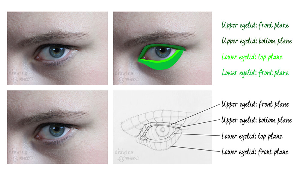 realistic female eye sketch