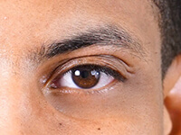 Reference for this Eyebrow Drawing Tutorial