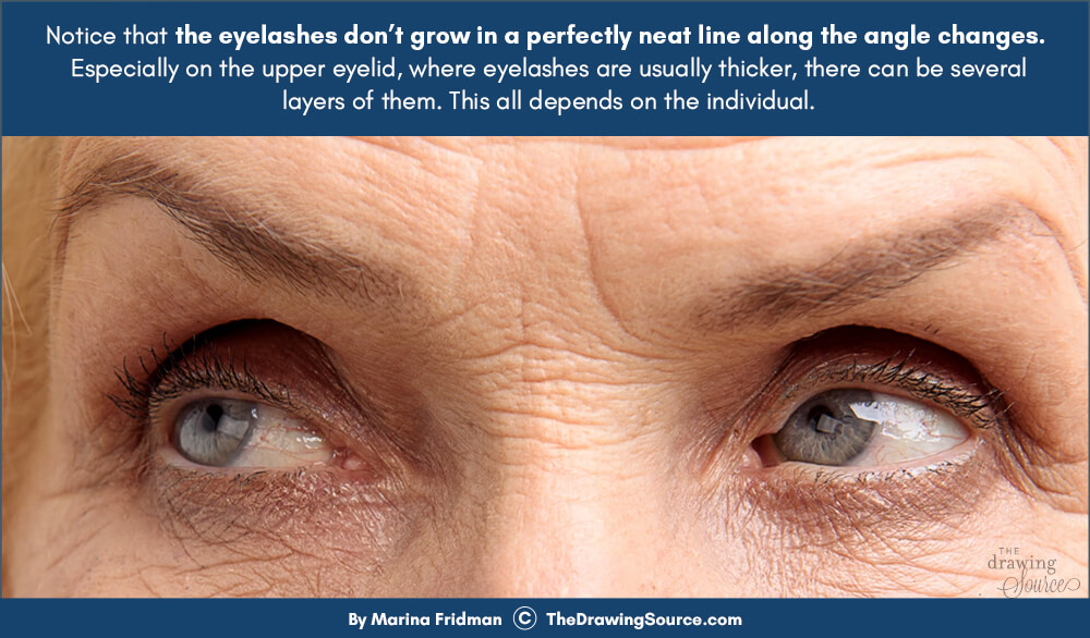 Eyelash growth patterns to notice for realistic eye drawings Eyelash growth patterns to notice for realistic eye drawings