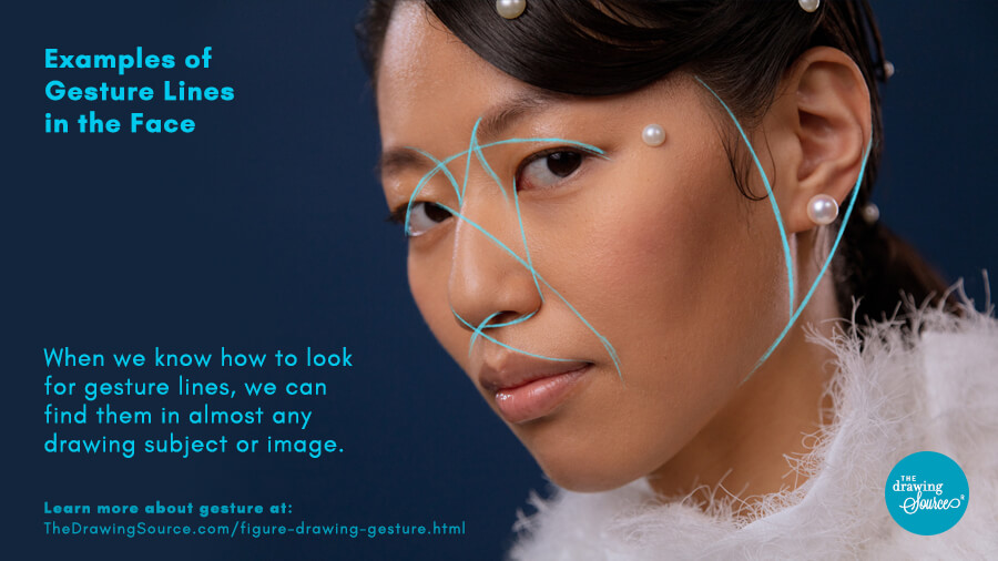 A portrait reference photo with gesture lines drawn overtop. Text overlay reads: Examples of Gesture Lines in the Face.