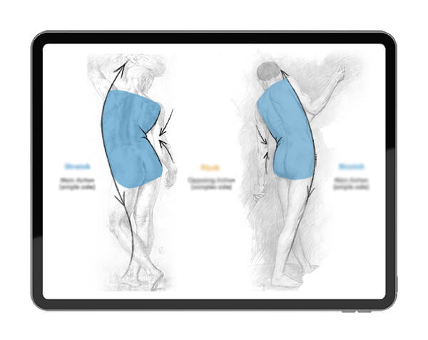 Module 1 of the Figure Drawing Class at The Drawing Source