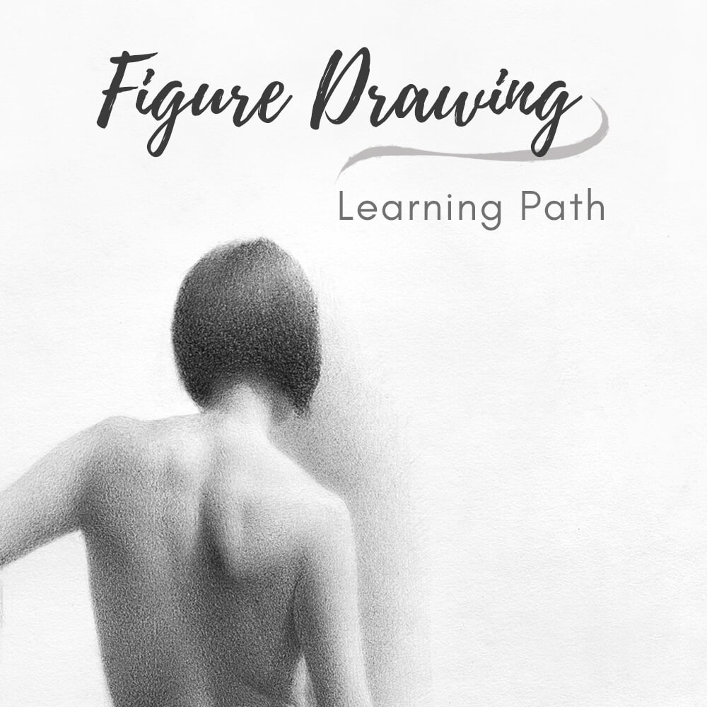 A realistic graphite drawing of a human figure from behind, showing the back and shoulders, with text reading "Figure Drawing Learning Path" — from The Drawing Source.