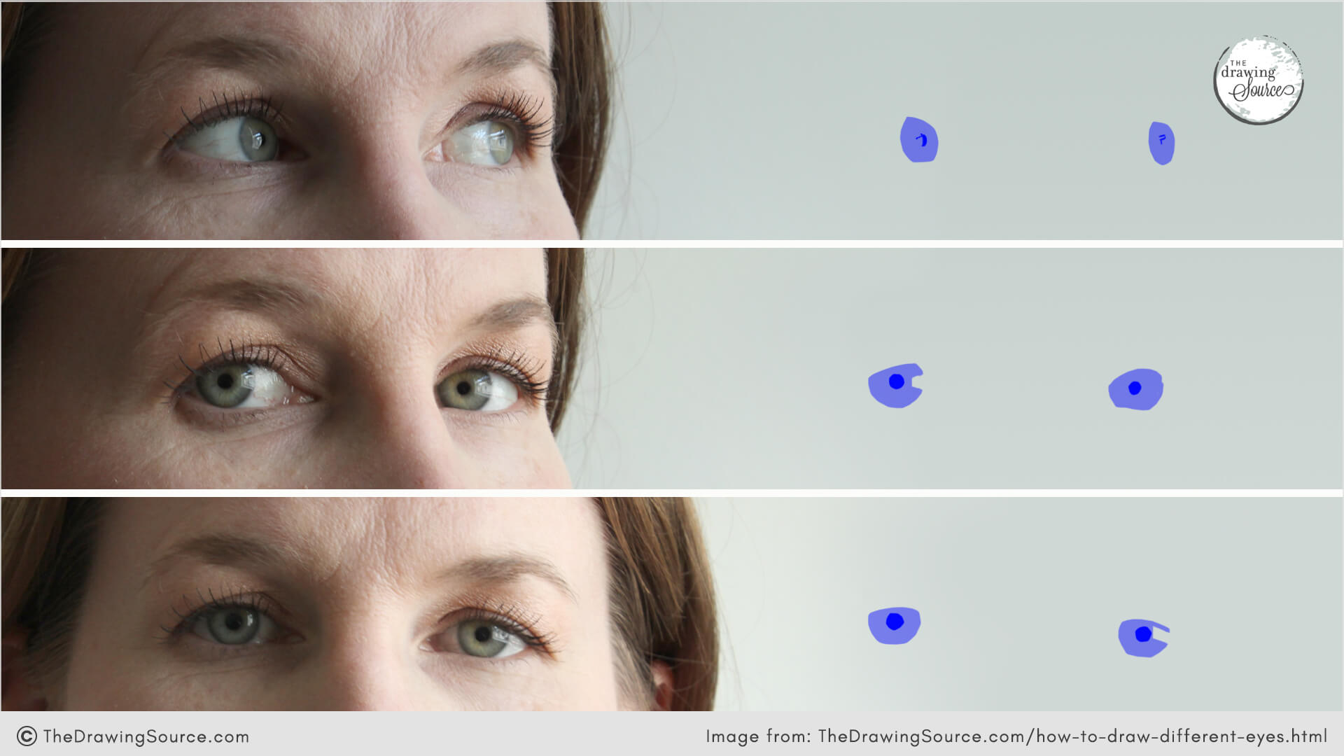 An image showing the same woman’s eyes in different poses, with illustrations highlighting subtle shape changes. Demonstrates how observing these shifts is essential for drawing accurate eye poses.