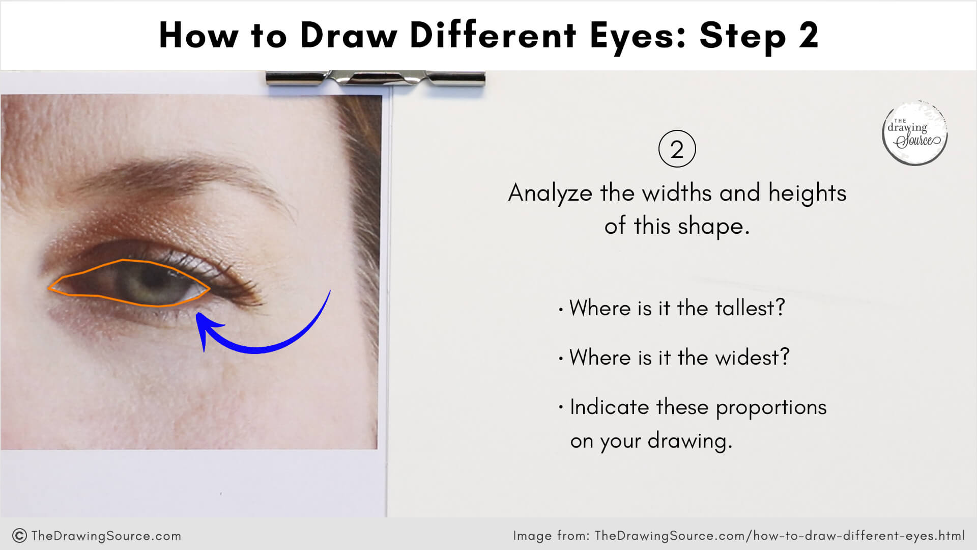 An eye reference photo with the inner eye shape highlighter. Text overlays says: how to draw different eyes step 2. Analyze the widths and heights of the inner eye shape. Where is it the tallest? Where is it the widest? Indicate these proportions on your drawing.