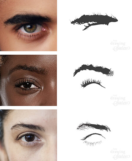 Simplifying and grouping shapes when drawing eyebrows