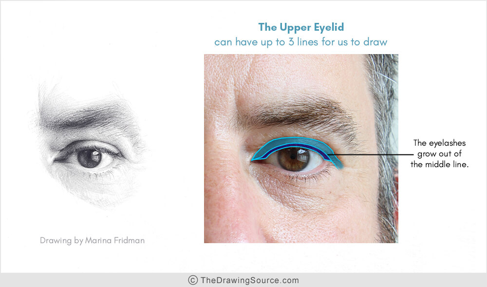 How to draw eyelids How to draw eyelids