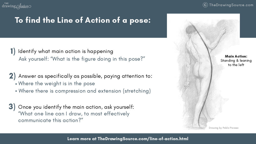 How to find the line of action figure drawing