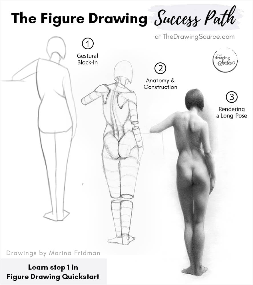 Three figure drawings showing the three stages of how to learn figure drawing. First a gestural block-in drawing, an anatomy and figure construction drawing, and a shaded long-pose figure drawing. Three figure drawings showing the three stages of how to learn figure drawing. First a gestural block-in drawing, an anatomy and figure construction drawing, and a shaded long-pose figure drawing.