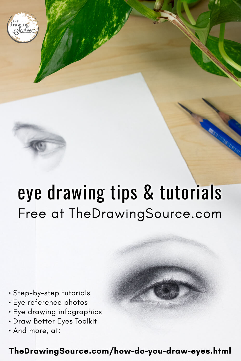 How do you draw eyes? Learn in the eye drawing resource hub at The Drawing Source! How do you draw eyes? Learn in the eye drawing resource hub at The Drawing Source!