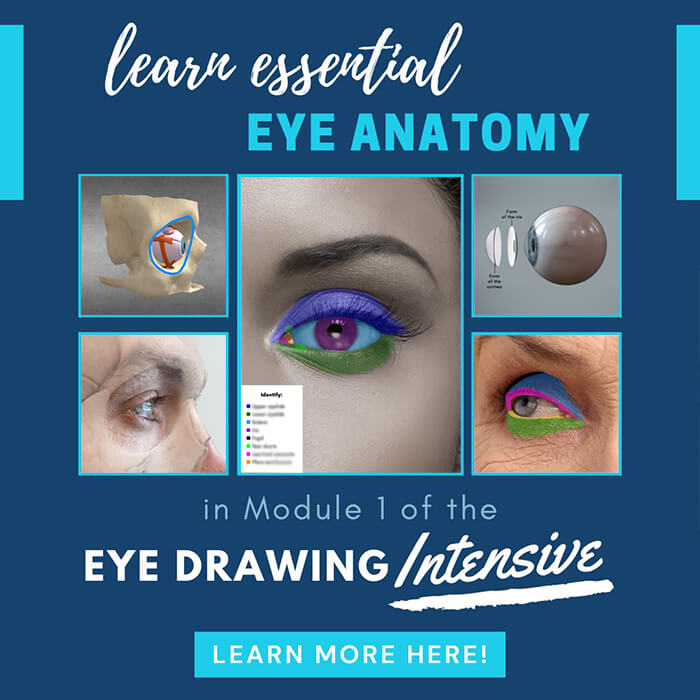 Learn essential eye anatomy for drawing in the Eye Drawing Intensive