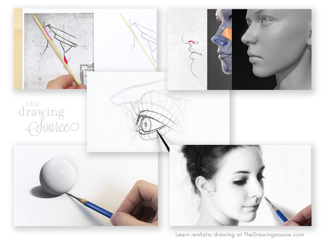Learn realistic drawing at The Drawing Source