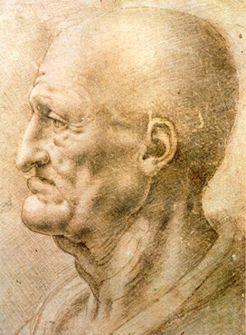 Leonardo Da Vinci Drawings