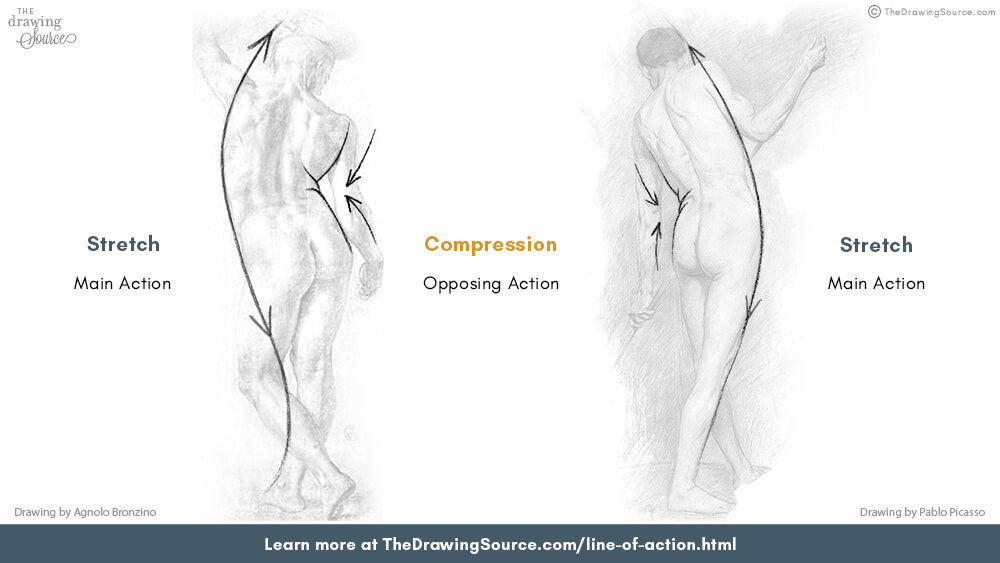 Line of action stretch and pinch