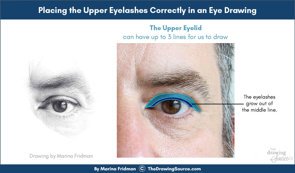 Placing the upper eyelashes in the eye drawing correctly Placing the upper eyelashes in the eye drawing correctly