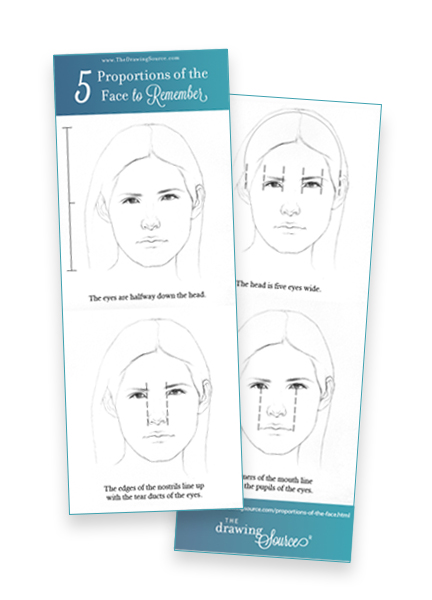 Download the proportions of the face infographic