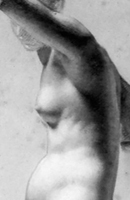 Prudhon Ribcage drawing