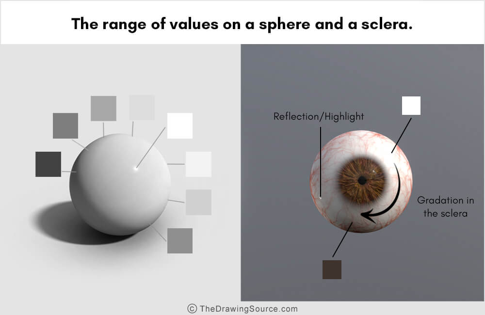 The range of values on a sphere and a sclera The range of values on a sphere and a sclera