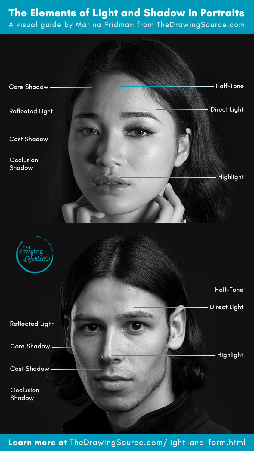 The elements of light and shadow that we need to know for realistic drawing, labeled on two portrait photographs: core shadow, halftone, direct light, highlight, reflected light, cast shadow, and occlusion shadow shown on real faces.