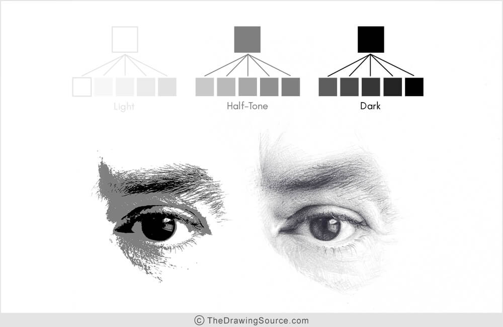 Value relationships in an eye drawing Value relationships in an eye drawing