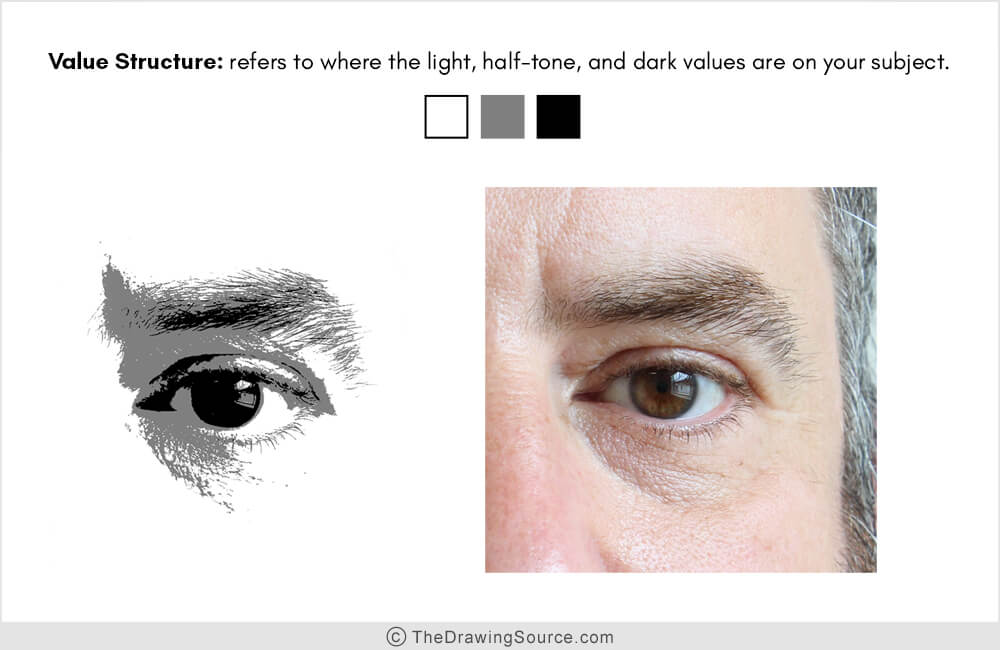 Value structure of an eye in drawing Value structure of an eye in drawing