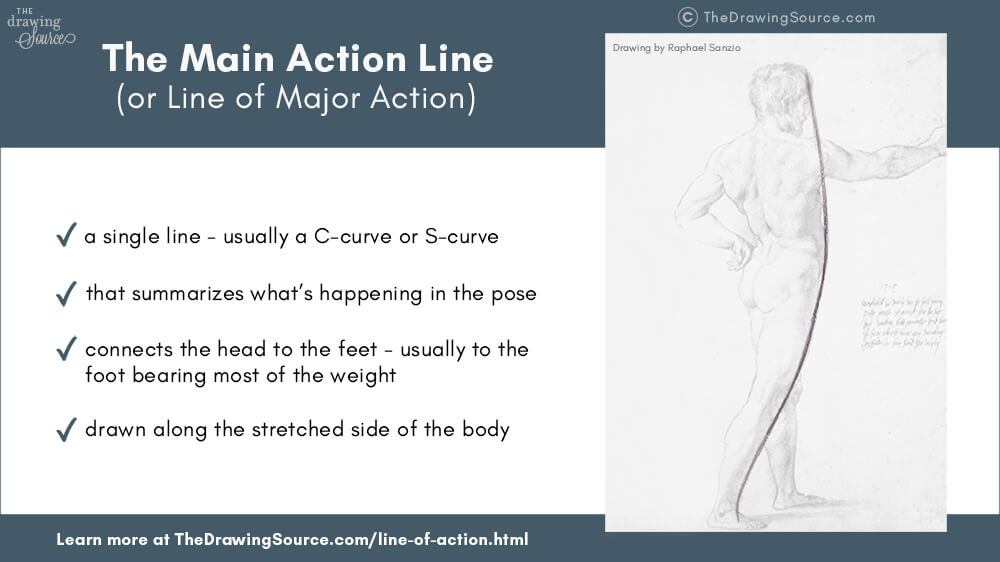 What is the line of action figure drawing